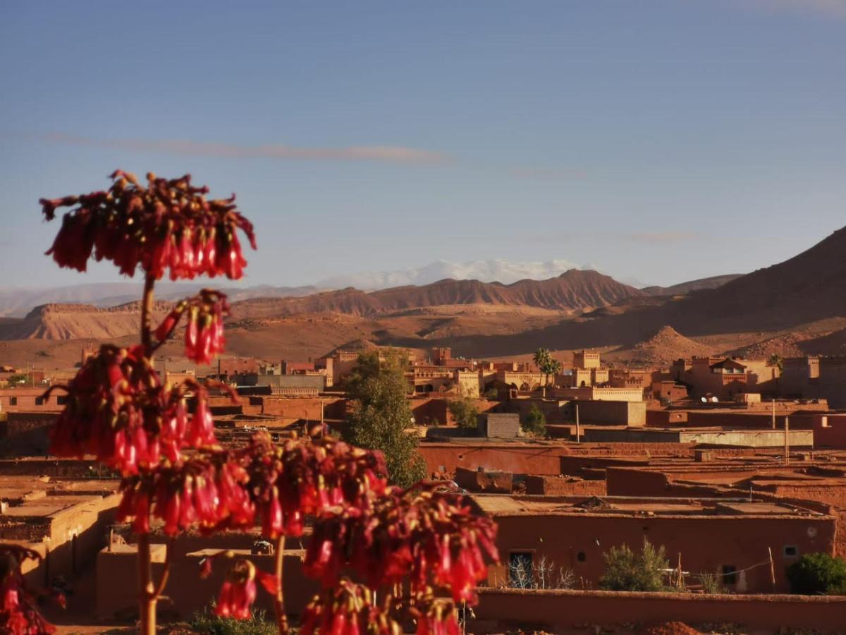 Riad Tigmi Du Soleil Ait Benhaddou Luaran gambar