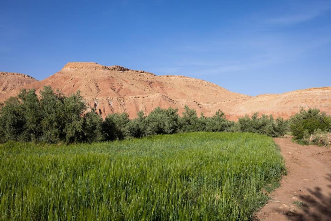 Riad Tigmi Du Soleil Ait Benhaddou Luaran gambar